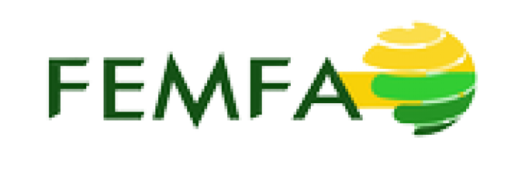 Femfa LLC